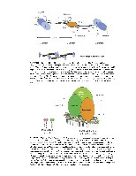 Bhagavan Medical Biochemistry 2001, page 1057